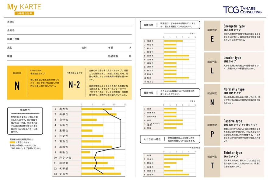 My KARTE（性格特性診断・性格能力判定）の判定報告書の例