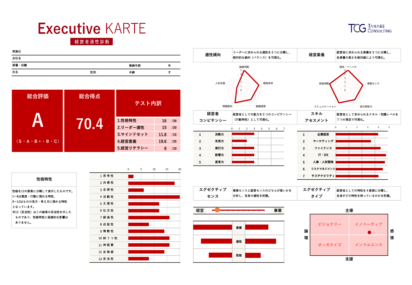 Executive KARTE（経営者適性診断）レポートの例