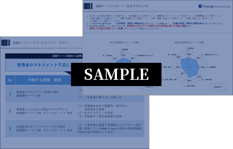 実態調査&分析:組織に関する現状分析サンプル画像②